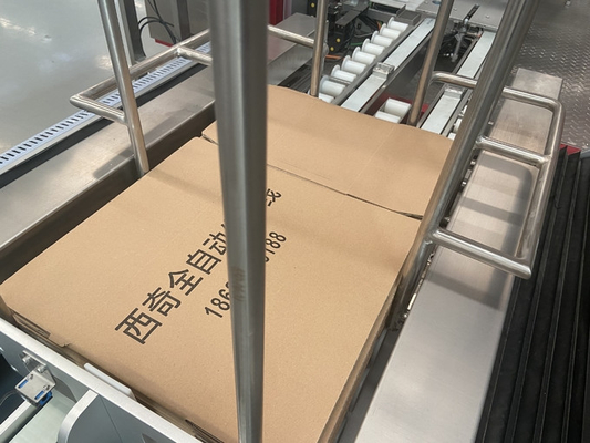 8 Cases/Min Cosmetics Carton Case Packer Machine 220v Side Load
