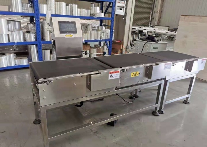40pcs/Min Electromechanical Auto Check Weigher Big Carton Dynamic